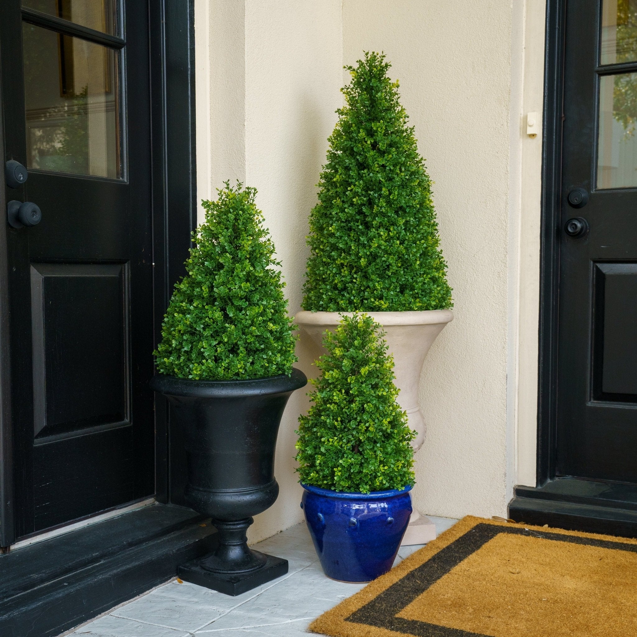 Front Door Boxwood Topiaries: Year-Round Curb Appeal, No Upkeep